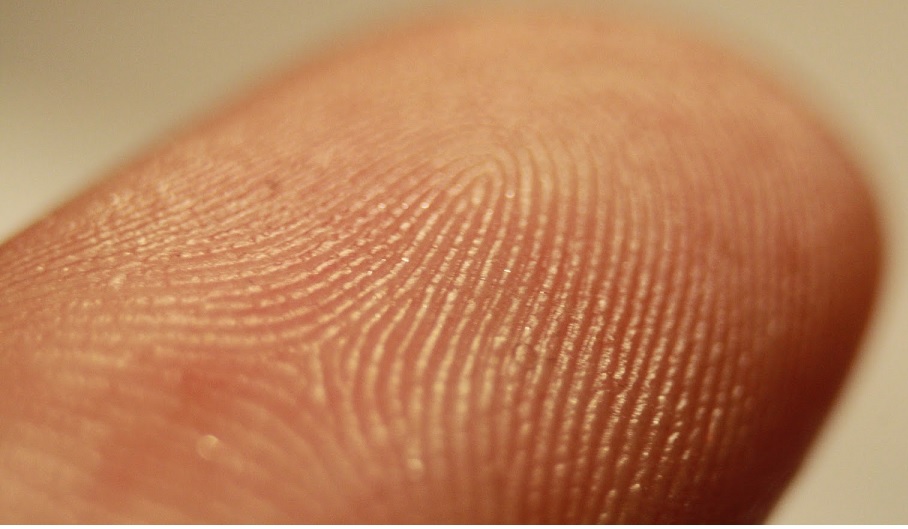 Impronte digitali: Si può ritirare il permesso di soggiorno per un'altra persona?