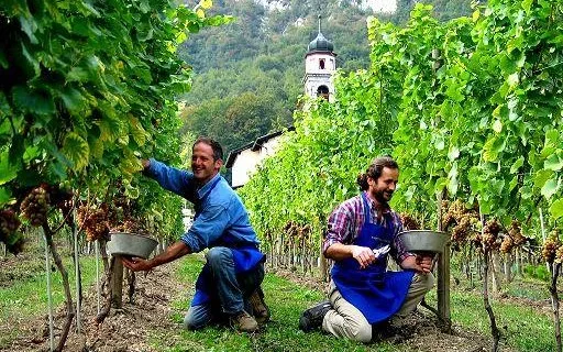 Lavoro stagionale