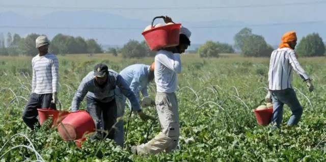 Decreto flussi lavoro stagionale dove ci sono tanti lavoratori stranieri senza permesso di soggiorno da regolarizzare