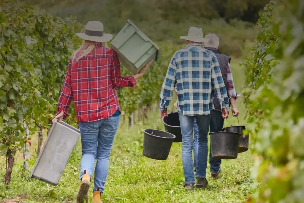 Decreto flussi e lavoro stagionale cosa cambia per aziende e lavoratori