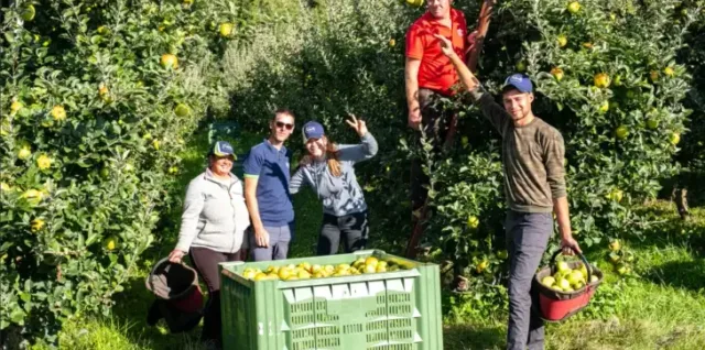 Click day per lavoro stagionale nel decreto flussi